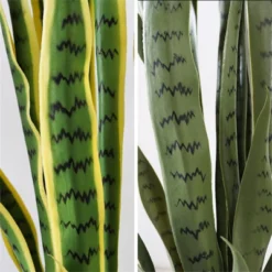 Artificial Snake Plant In Pot, Realistic Faux Sansevieria For Home Office Decor, Durable Low Maintenance Indoor Greenery 8 Artificial Snake Plant In Pot, Realistic Faux Sansevieria For Home Office Decor, Durable Low Maintenance Indoor Greenery -House Beautiful GUEST 048a49bb b4dd 4192 a5c4 43ae3805ad36