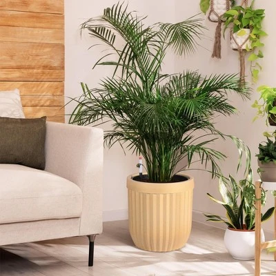 14.5/23/31 Inch Tall Planter, Square Planter Set Of 2, Large Indoor/Outdoor Flower Pots With Drainage Holes, Water Level Monitor & Wheels For Patio 4 14.5/23/31 Inch Tall Planter, Square Planter Set Of 2, Large Indoor/Outdoor Flower Pots With Drainage Holes, Water Level Monitor & Wheels For Patio - Image 2