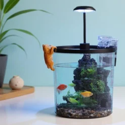 Mini Fish Tank Kit 6Pcs Goldfish Betta Fish Tank With Silent Filter Oxygen Generator Desktop Aquarium For Home Office 14 Mini Fish Tank Kit 6Pcs Goldfish Betta Fish Tank With Silent Filter Oxygen Generator Desktop Aquarium For Home Office -House Beautiful GUEST 6bf45212 671d 4547 b7a9 d078678111a4
