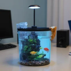 Mini Fish Tank Kit 6Pcs Goldfish Betta Fish Tank With Silent Filter Oxygen Generator Desktop Aquarium For Home Office 15 Mini Fish Tank Kit 6Pcs Goldfish Betta Fish Tank With Silent Filter Oxygen Generator Desktop Aquarium For Home Office -House Beautiful GUEST 6cb56c05 d30f 498c 81c4 8117d8b9cfb1