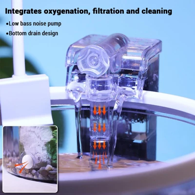 Mini Fish Tank Kit 6Pcs Goldfish Betta Fish Tank With Silent Filter Oxygen Generator Desktop Aquarium For Home Office 4 Mini Fish Tank Kit 6Pcs Goldfish Betta Fish Tank With Silent Filter Oxygen Generator Desktop Aquarium For Home Office - Image 2