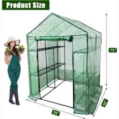 Walk-in Greenhouse With Roll-Up Zipper Door,57 X 57 X 76'' Portable Indoor And Outdoor Green House,3-Tier 6 Shelves Greenhouse -House Beautiful GUEST 9b29aeb7 bcad 453f 89f6 b42d8c89b461