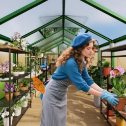 6x10 FT Aluminum Greenhouse With Roof Vent Ground Nails Lockable Push Door Large Walk-in Green House For Outside Garden Backyard Patio Lawn