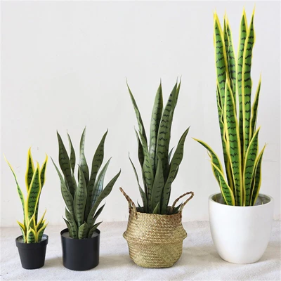 Artificial Snake Plant In Pot, Realistic Faux Sansevieria For Home Office Decor, Durable Low Maintenance Indoor Greenery 4 Artificial Snake Plant In Pot, Realistic Faux Sansevieria For Home Office Decor, Durable Low Maintenance Indoor Greenery - Image 2
