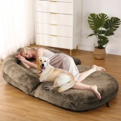 Human Sized Dog Bed For People Adults, Foldable Dog Bed For Humans 17 Human Sized Dog Bed For People Adults, Foldable Dog Bed For Humans -House Beautiful GUEST b7a7720a ec1f 45fd bef2 9d83042c95a3