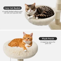 Litter Box Enclosure With Cat Tree Tower And Condo, Hidden Cat Washroom Furniture With Sisal Scratching Post 13 Litter Box Enclosure With Cat Tree Tower And Condo, Hidden Cat Washroom Furniture With Sisal Scratching Post -House Beautiful GUEST f761bdb8 eec9 46a4 98fc a5fec39d7bd1