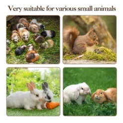 60" 5-Tier Ferret Cage, Multi-Level Chinchilla Cage With Lockable Doors, Ramps, Hammock, Wheels, Storage Cabinet, Small Animal Habitat 18 60" 5-Tier Ferret Cage, Multi-Level Chinchilla Cage With Lockable Doors, Ramps, Hammock, Wheels, Storage Cabinet, Small Animal Habitat -House Beautiful GUEST fe7d04cd 02df 4ca3 bb55 16c770616077